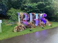 RHSAutumnShow2021  RHS Autumn Show 2021